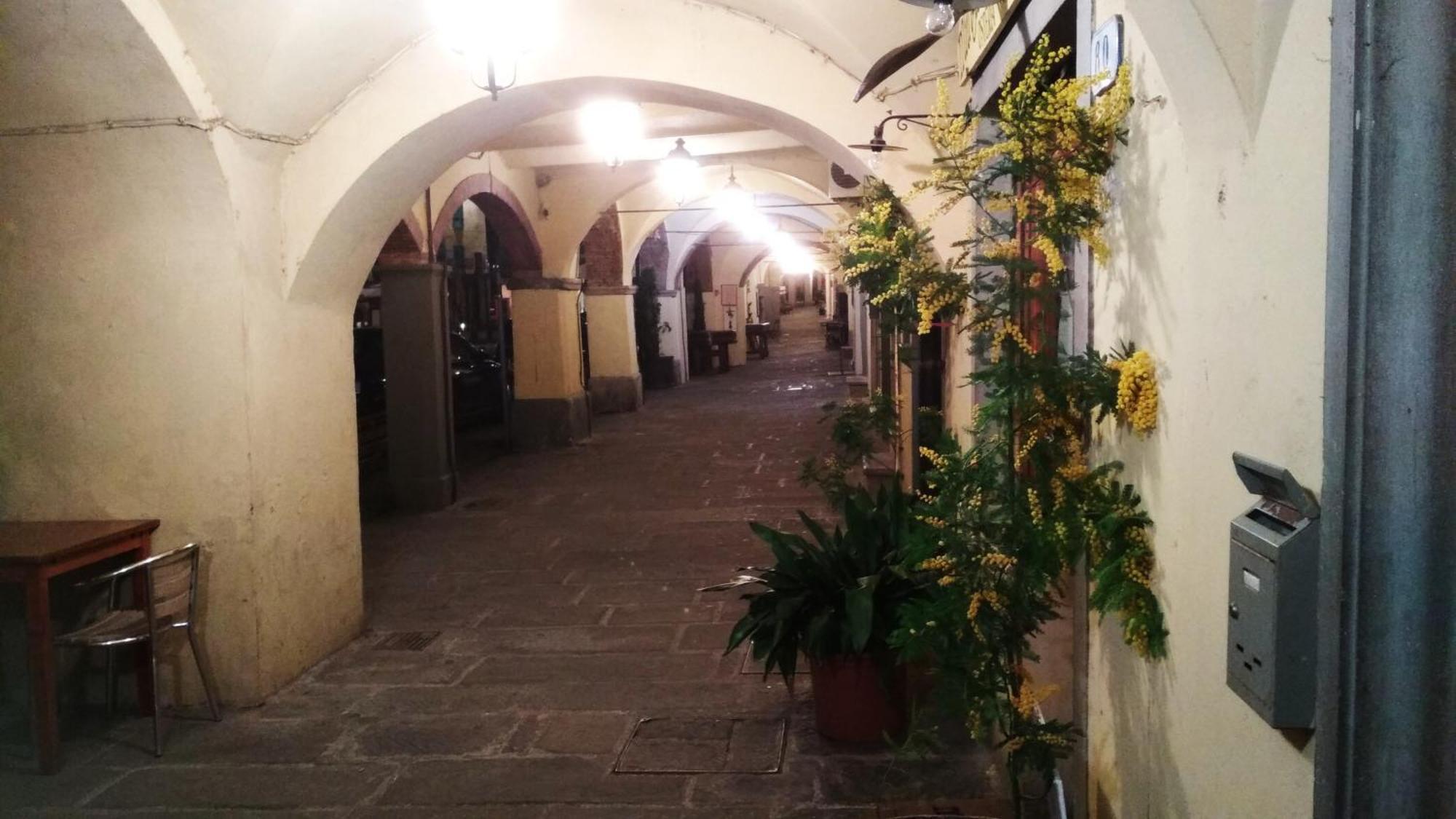 Il Nido Nel Chianti Apartment Greve in Chianti Ngoại thất bức ảnh